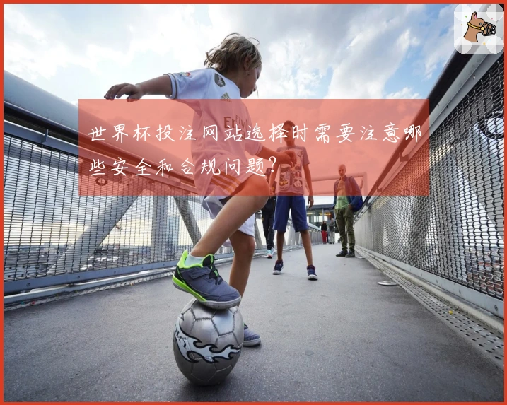 世界杯投注网站选择时需要注意哪些安全和合规问题？