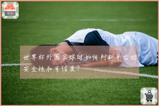 世界杯外围买球时如何判断平台的安全性和可信度？