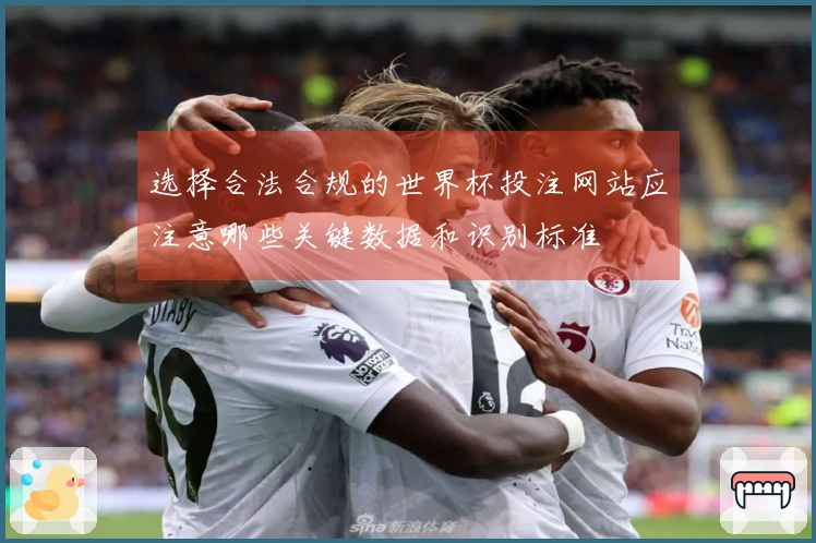 选择合法合规的世界杯投注网站应注意哪些关键数据和识别标准