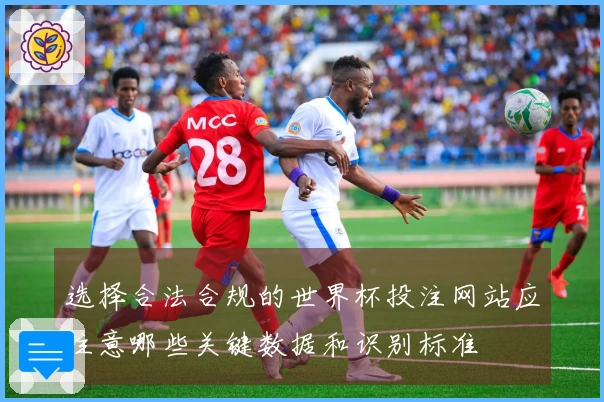 选择合法合规的世界杯投注网站应注意哪些关键数据和识别标准